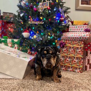 Meet your Posher, Kellie